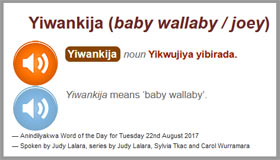 Eningaduwaba-ayakwa - Word of the Day